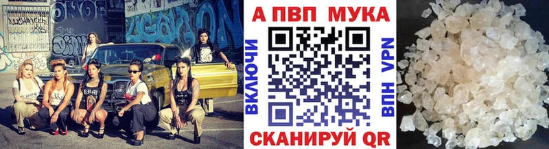 Купить закладки Вяземский A-PVP СК