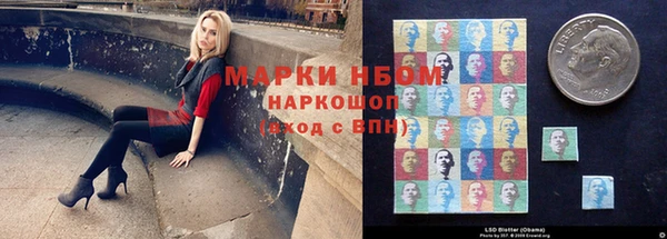 стафф Бронницы
