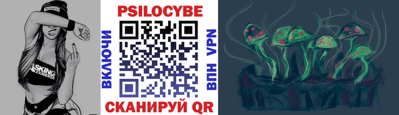 Псилоцибиновые грибы GOLDEN TEACHER  Купить где  Вяземский 